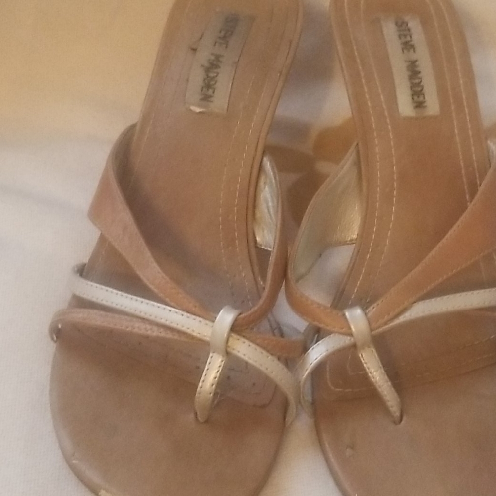 Steve madden